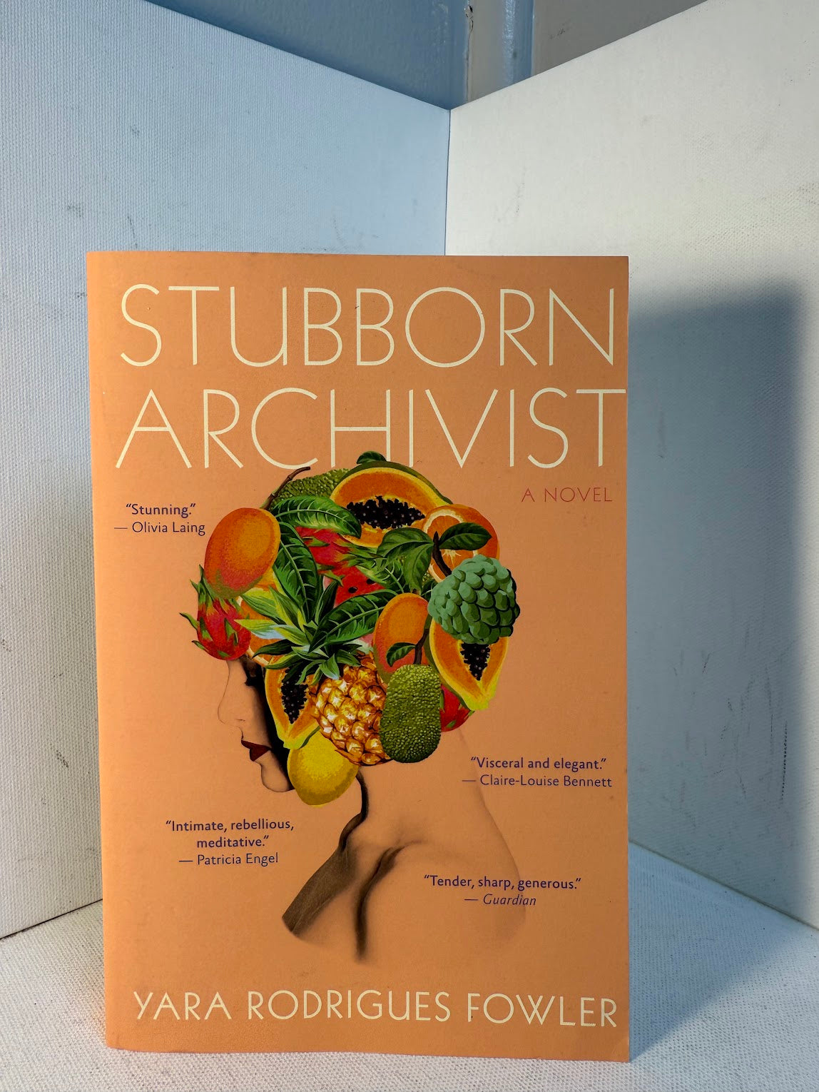 Stubborn Archivist by Yara Rodrigues Fowler