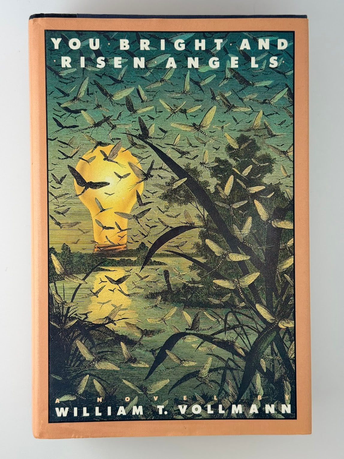 You Bright and Risen Angels by William T. Vollmann