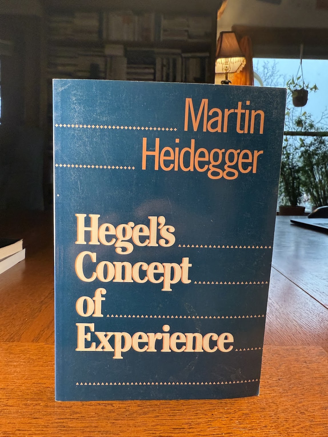 Hegel's Concept of Experience by Martin Heidegger