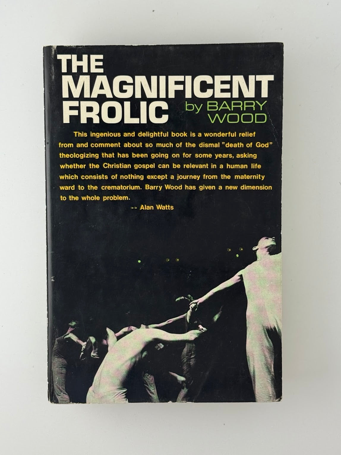 The Magnificent Frolic by Barry Wood