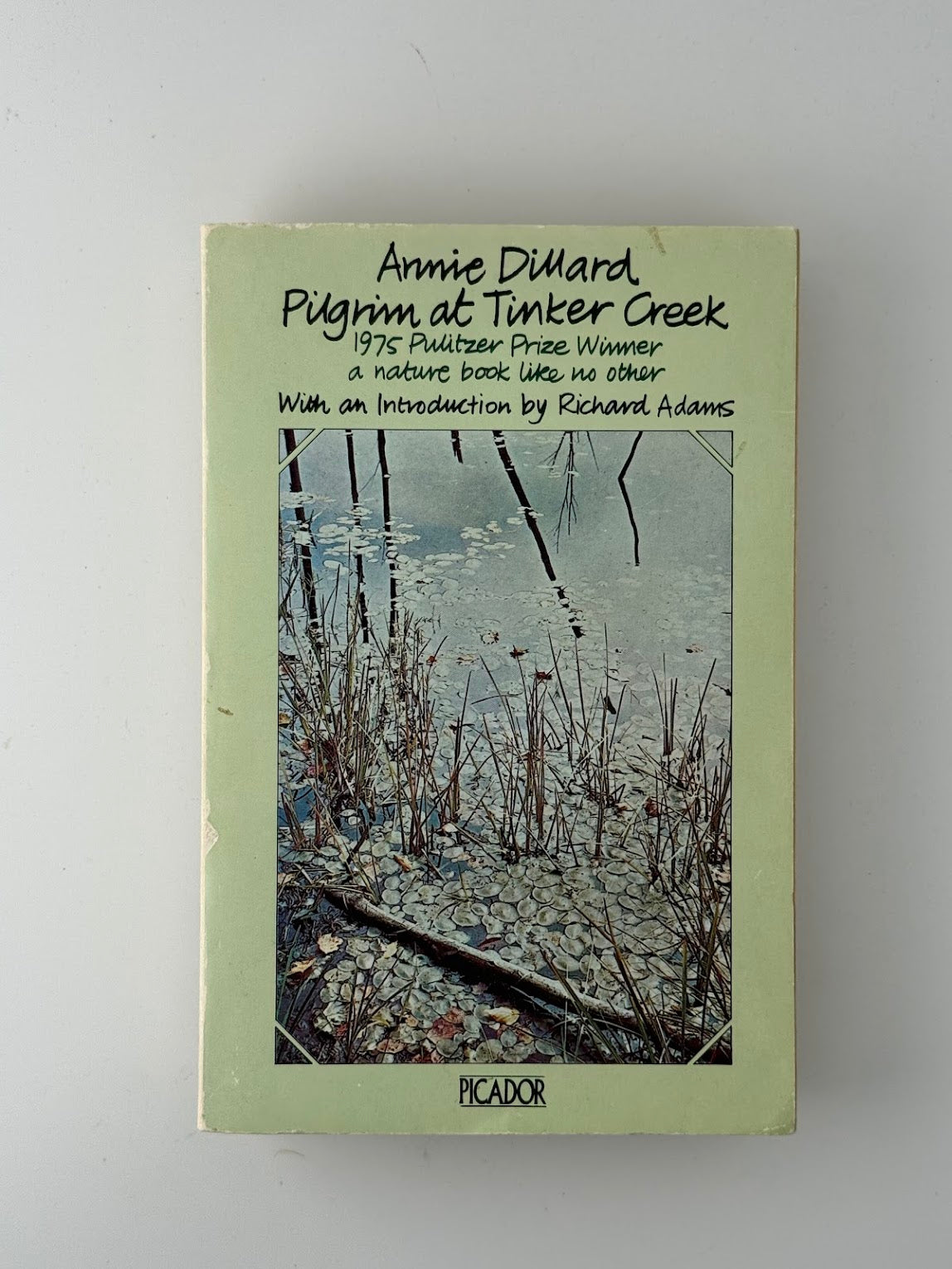 Pilgrim at Tinker Creek by Annie Dillard