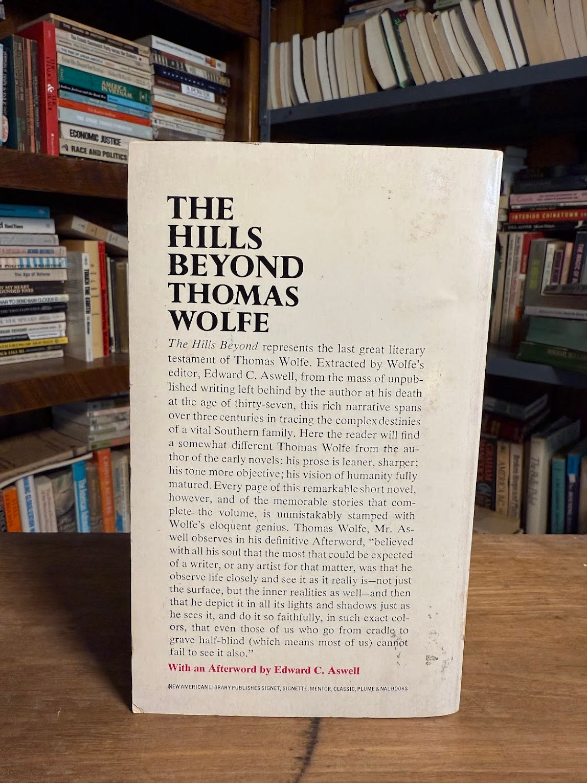 The Hills Beyond by Thomas Wolfe