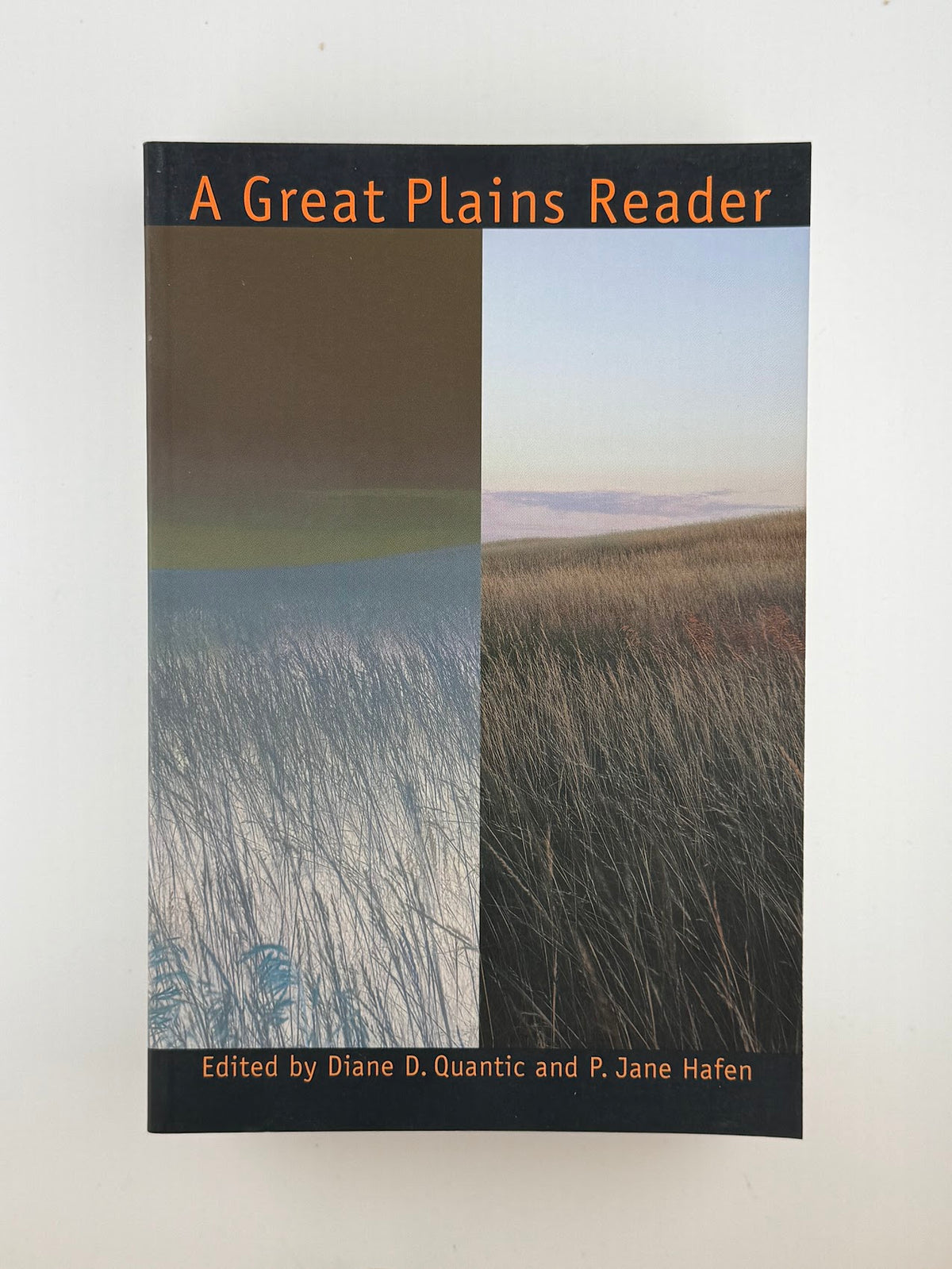 A Great Plains Reader edited by Diane D. Quantic and P. Jane Hafen