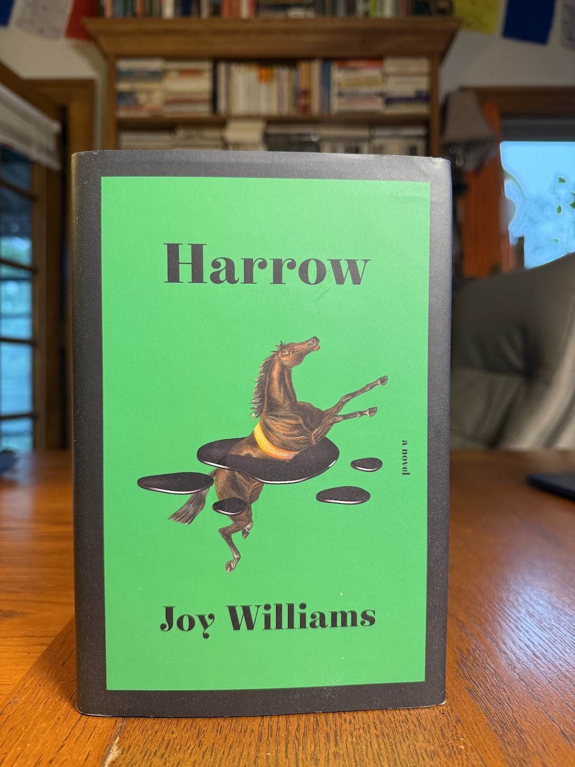 Harrow by Joy Williams