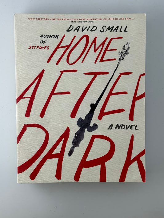 Home After Dark by David Small