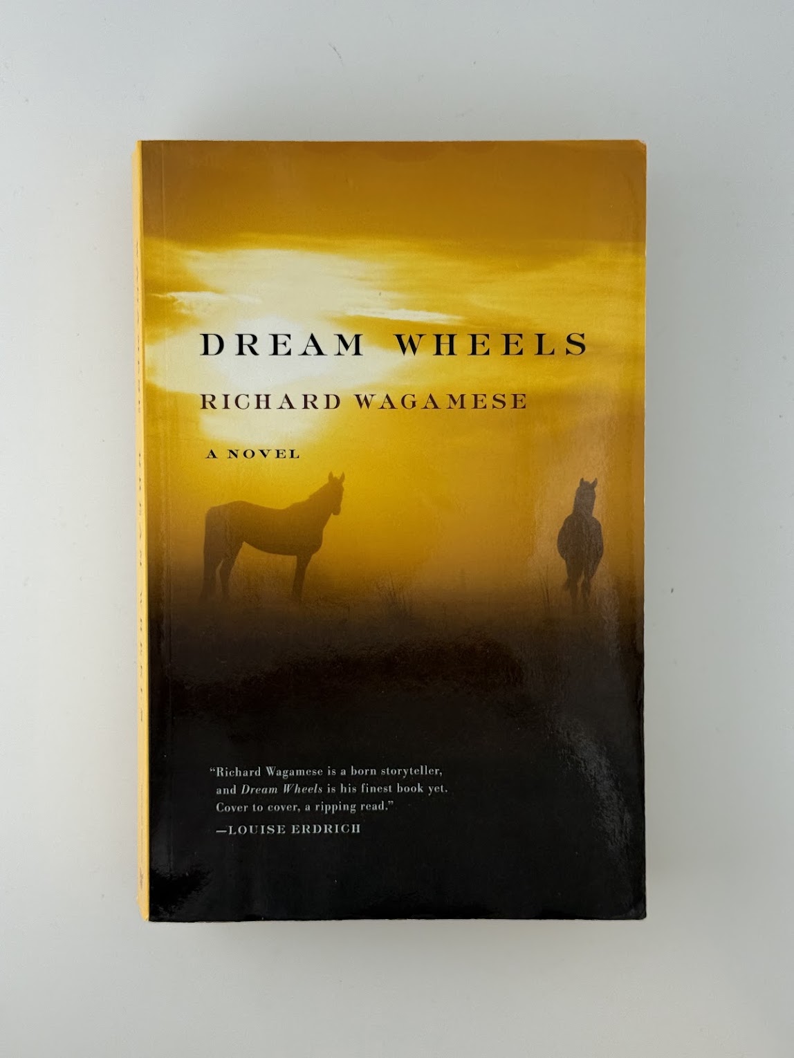 Dream Wheels by Richard Wagamese