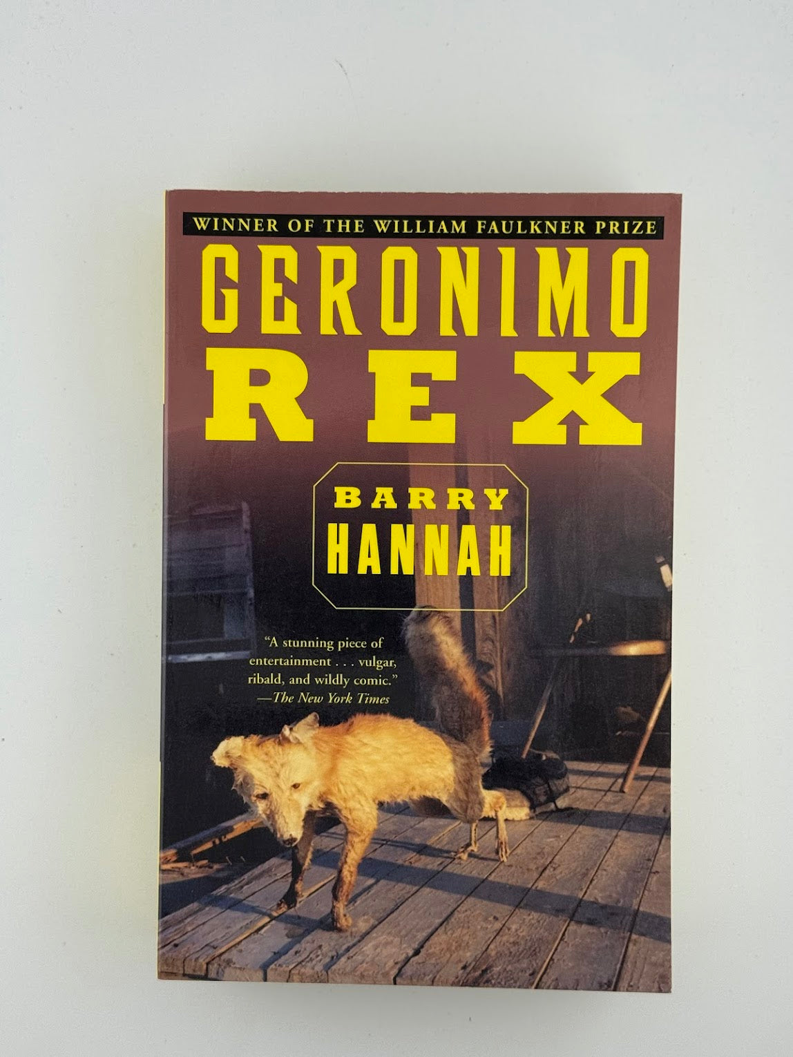 Geronimo Rex by Barry Hannah