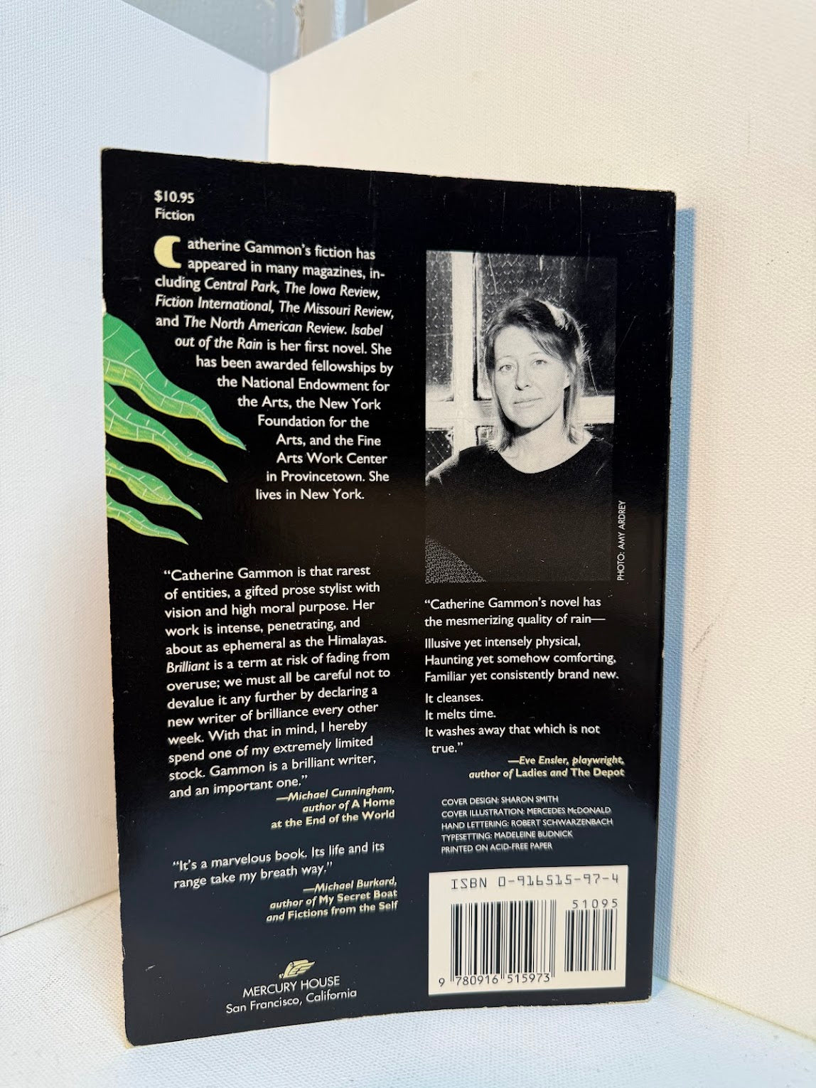 Isabel Out of the Rain by Catherine Gammon