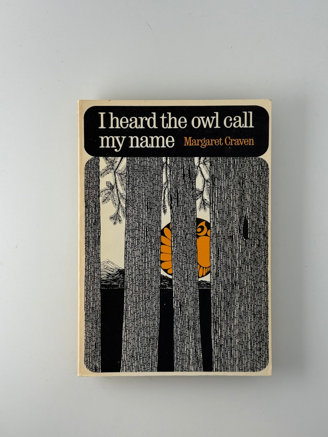 I Heard the Owl Call My Name by Margaret Craven