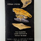 Stream System by Gerald Murnane