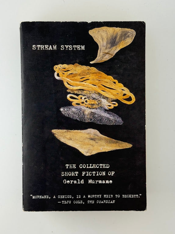 Stream System by Gerald Murnane