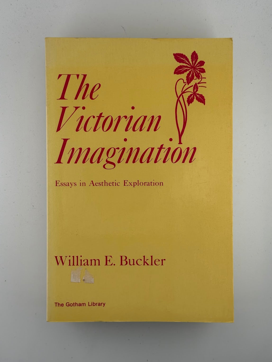 The Victorian Imagination - Essays in Aesthetic Exploration by William E. Buckler