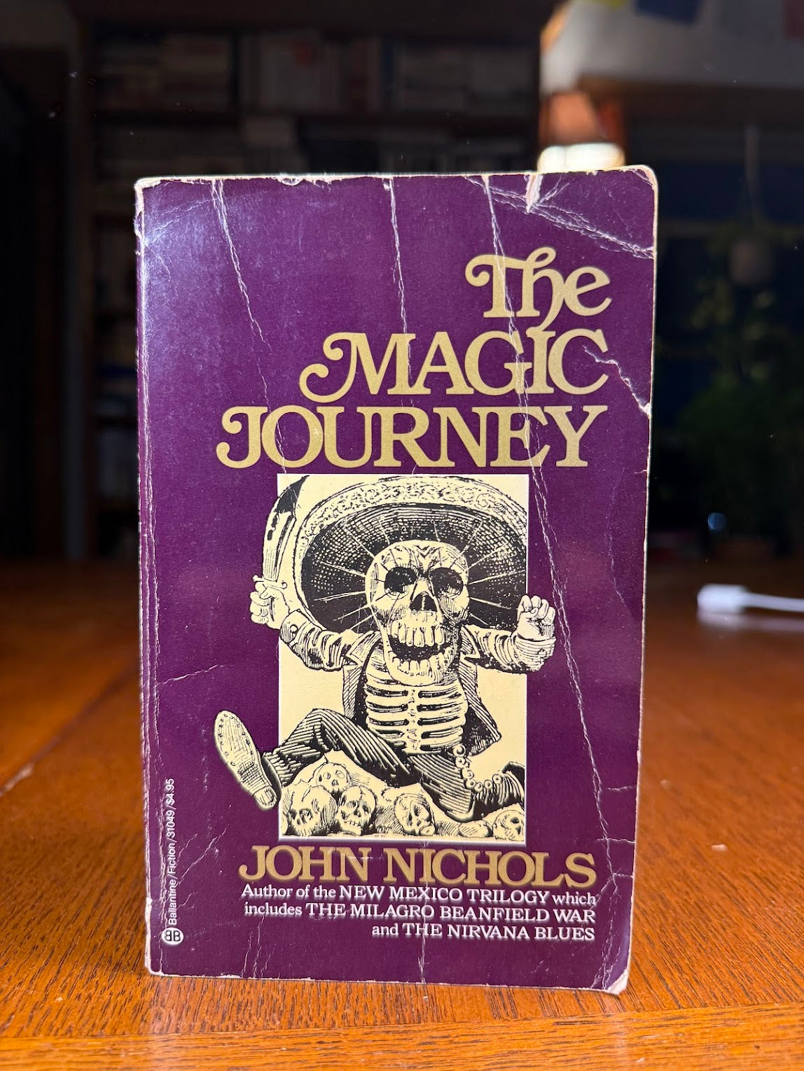 The Magic Journey by John Nichols