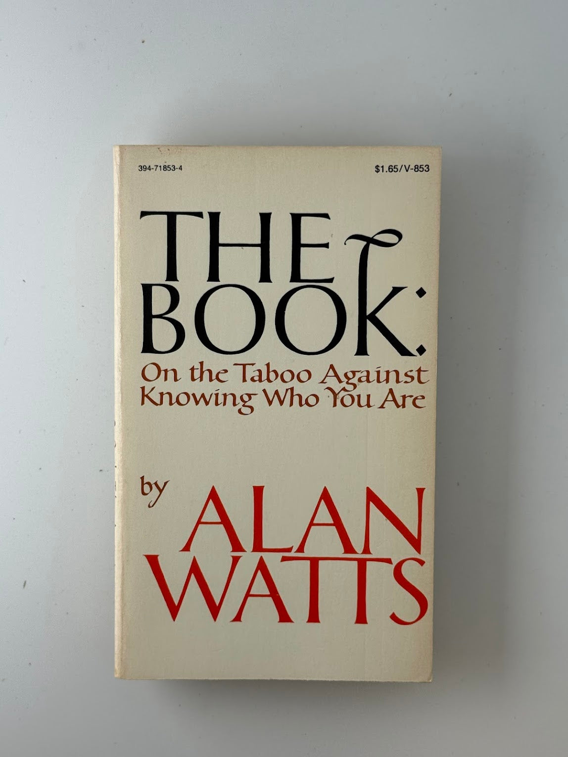 The Book on the Taboo Against Knowing Who You Are by Alan Watts