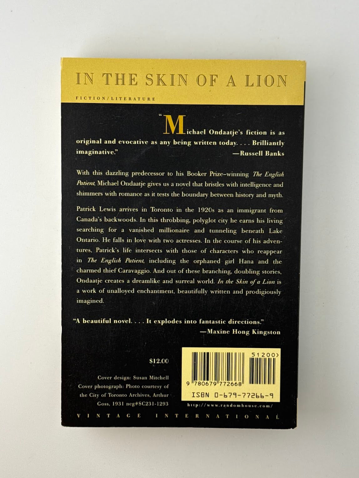 In the Skin of a Lion by Michael Ondaatje