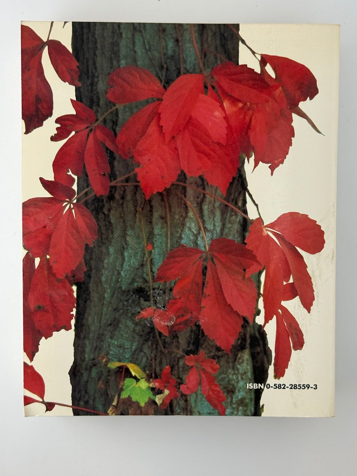 Longman Anthology of World Literature by Women 1875-1975
