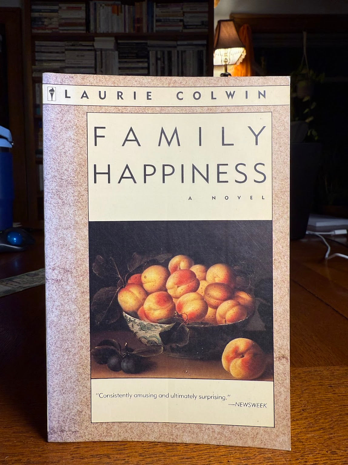 Family Happiness by Laurie Colwin