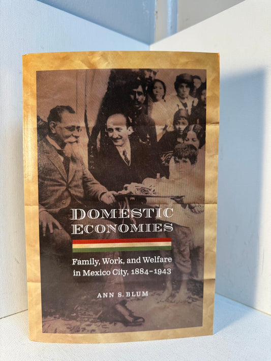 Domestic Economies - Family, Work and Welfare in Mexico City 1884-1943 by Ann S. Blum