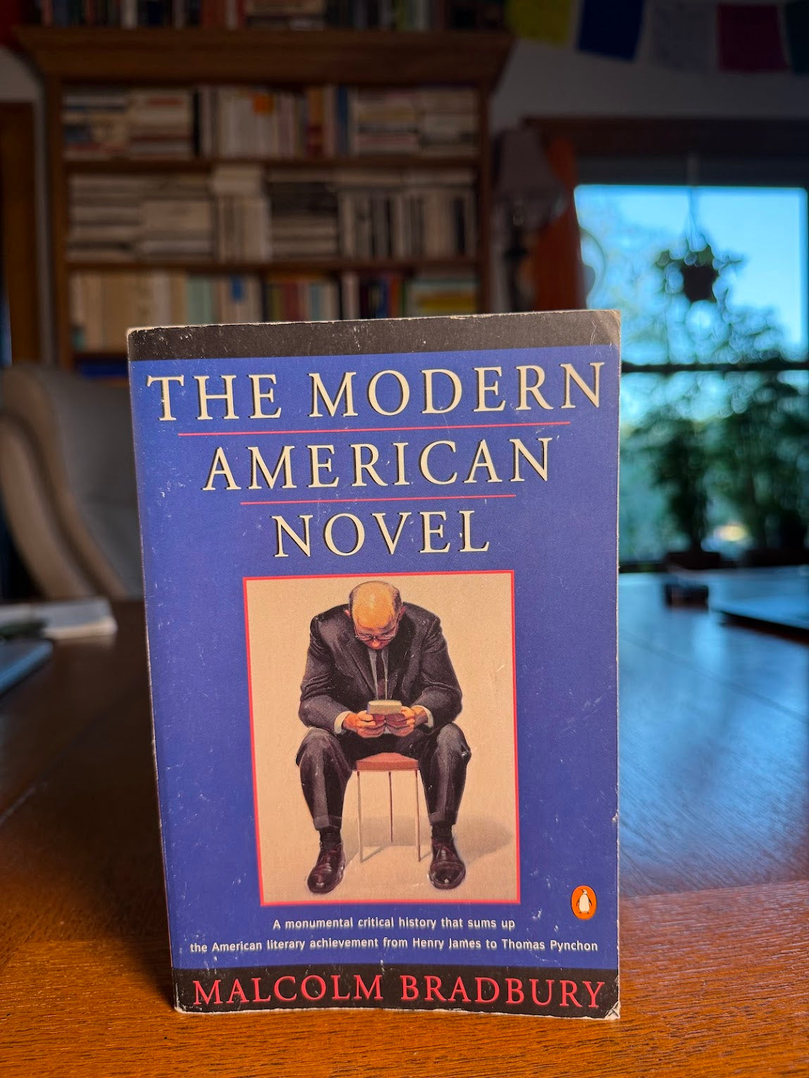 The Modern American Novel by Malcolm Bradbury