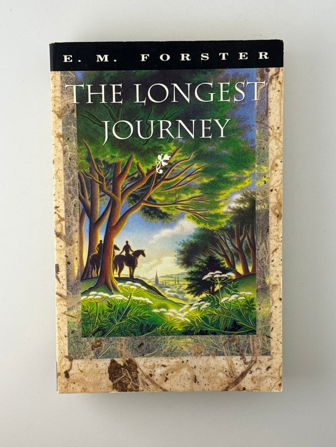 The Longest Journey by E.M. Forster g