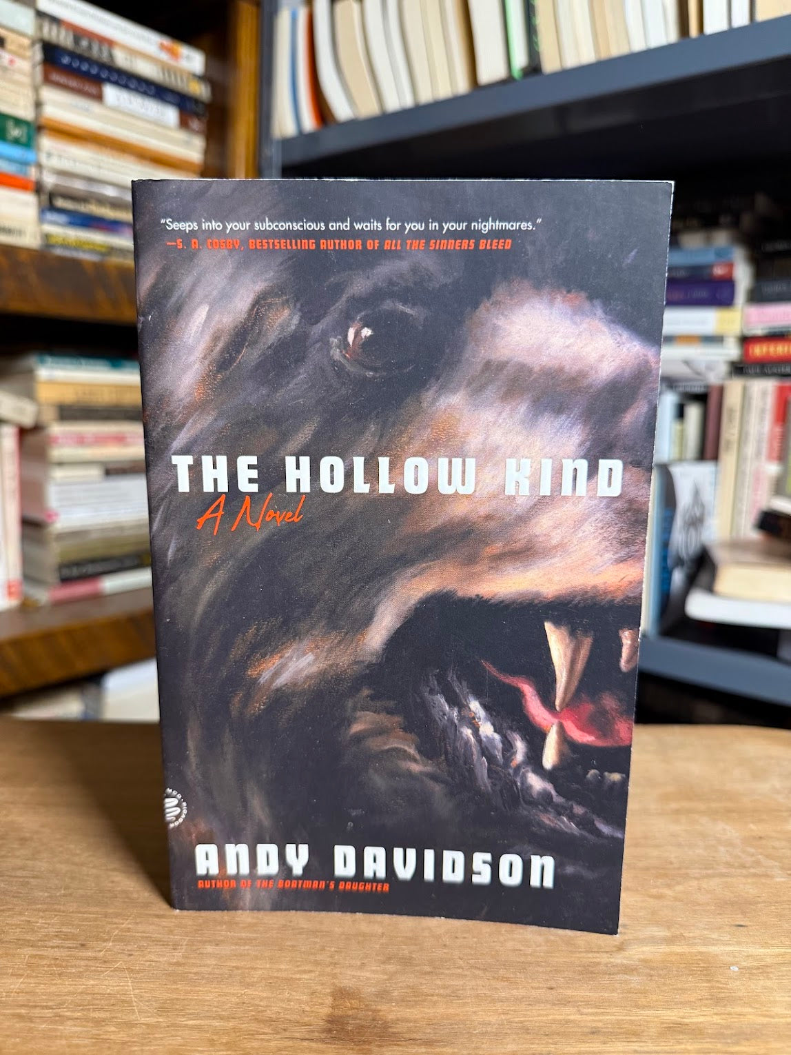 The Hollow Kind by Andy Davidson