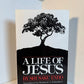 A Life of Jesus by Shusaku Endo