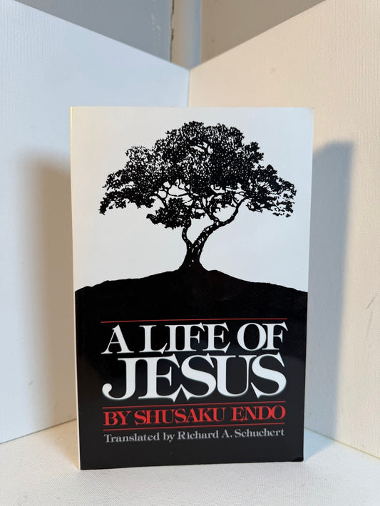 A Life of Jesus by Shusaku Endo