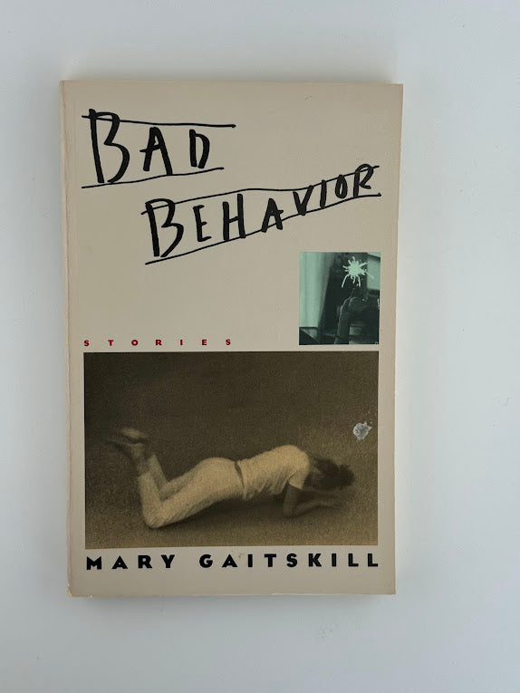 Bad Behavior by Mary Gaitskill