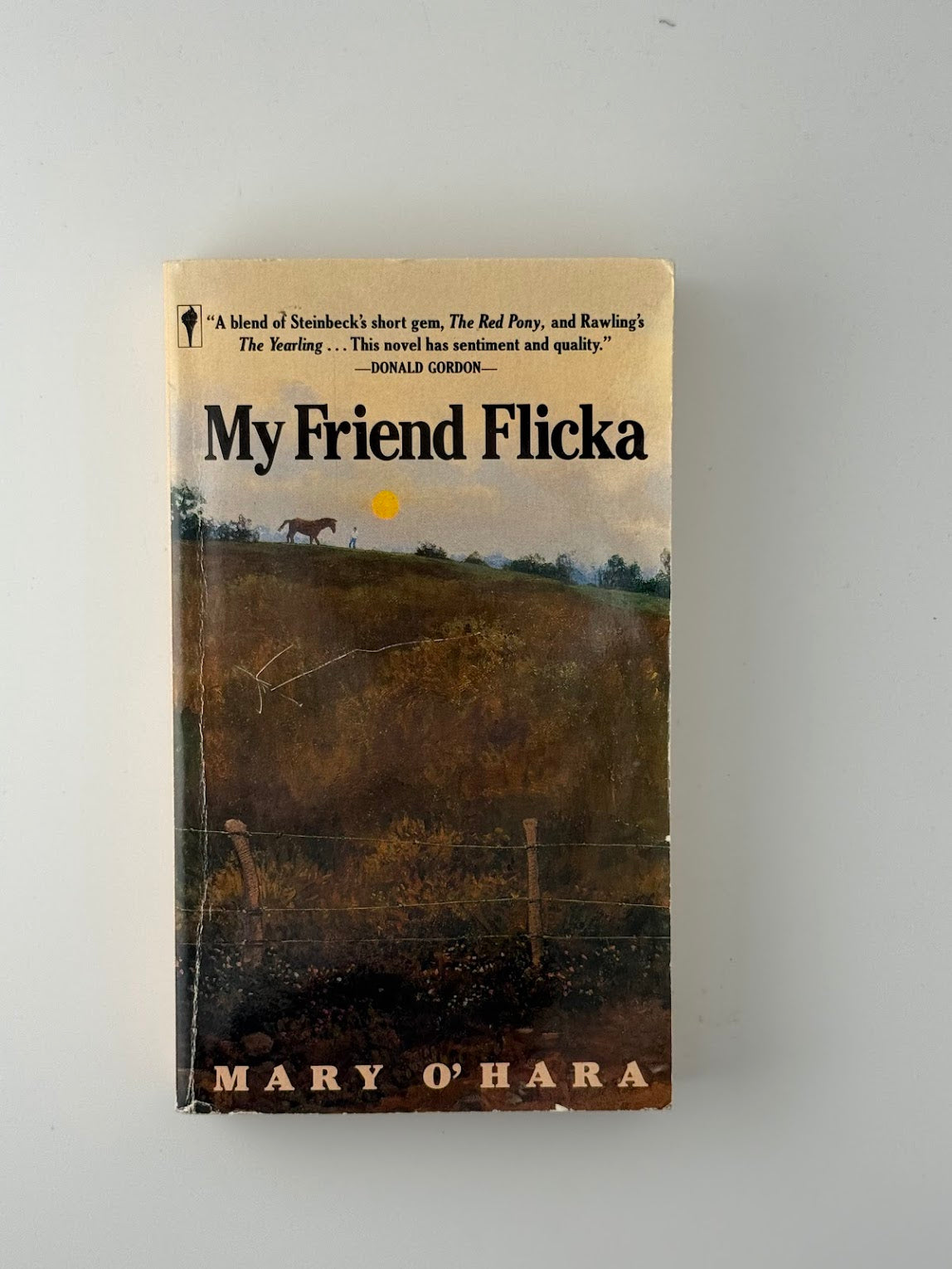 My Friend Flicka by Mary O'Hara