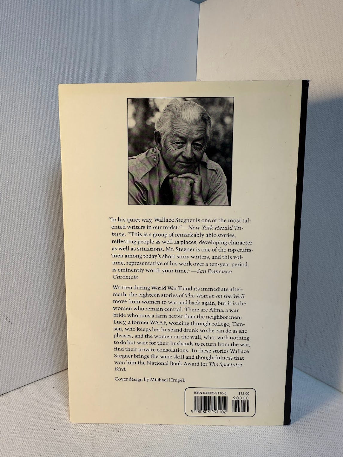 The Women on the Wall by Wallace Stegner