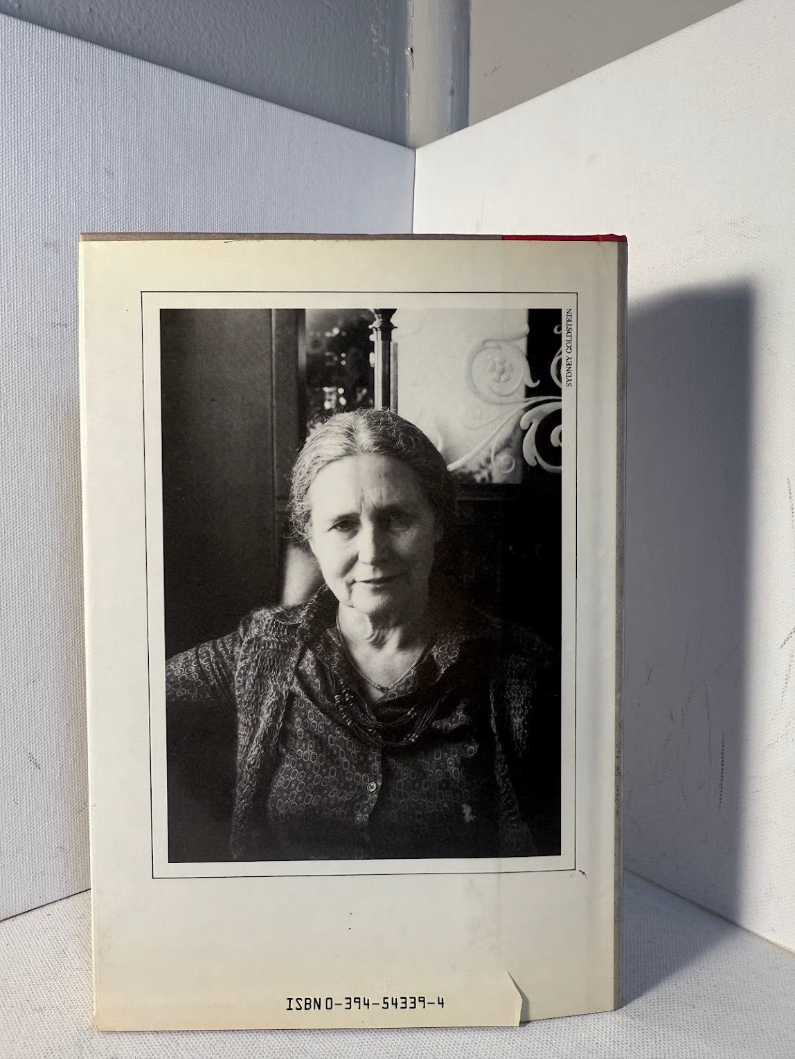 The Good Terrorist by Doris Lessing