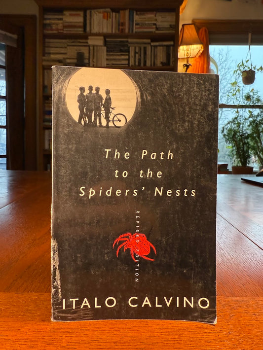 The Path to the Spider's Nest by Italo Calvino