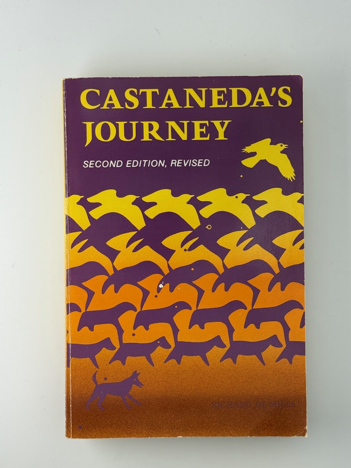 Castaneda's Journey by Richard de Mille