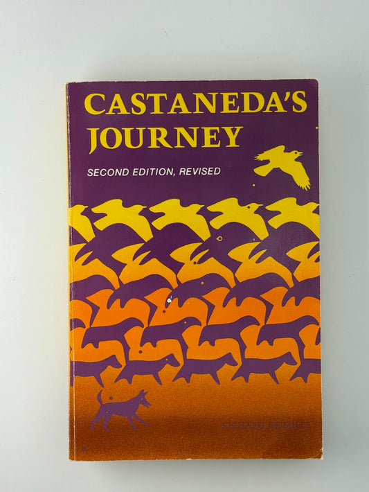 Castaneda's Journey by Richard de Mille