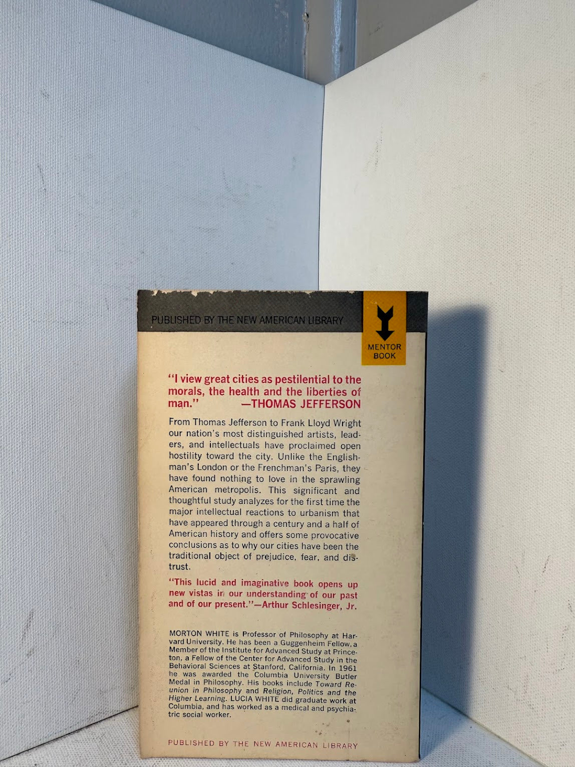 The Intellectual Versus The City by Morton and Lucia White