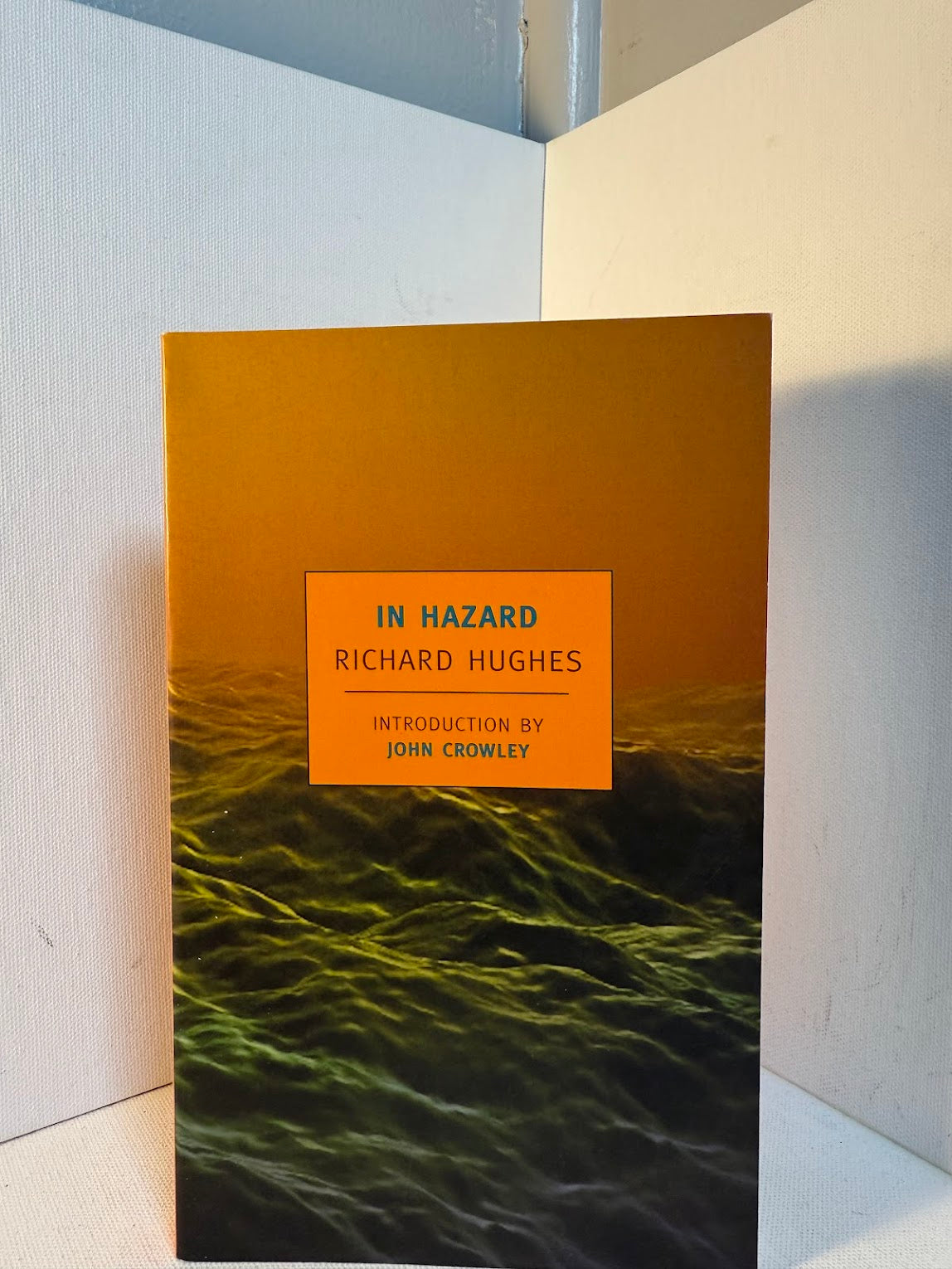 In Hazard by Richard Hughes