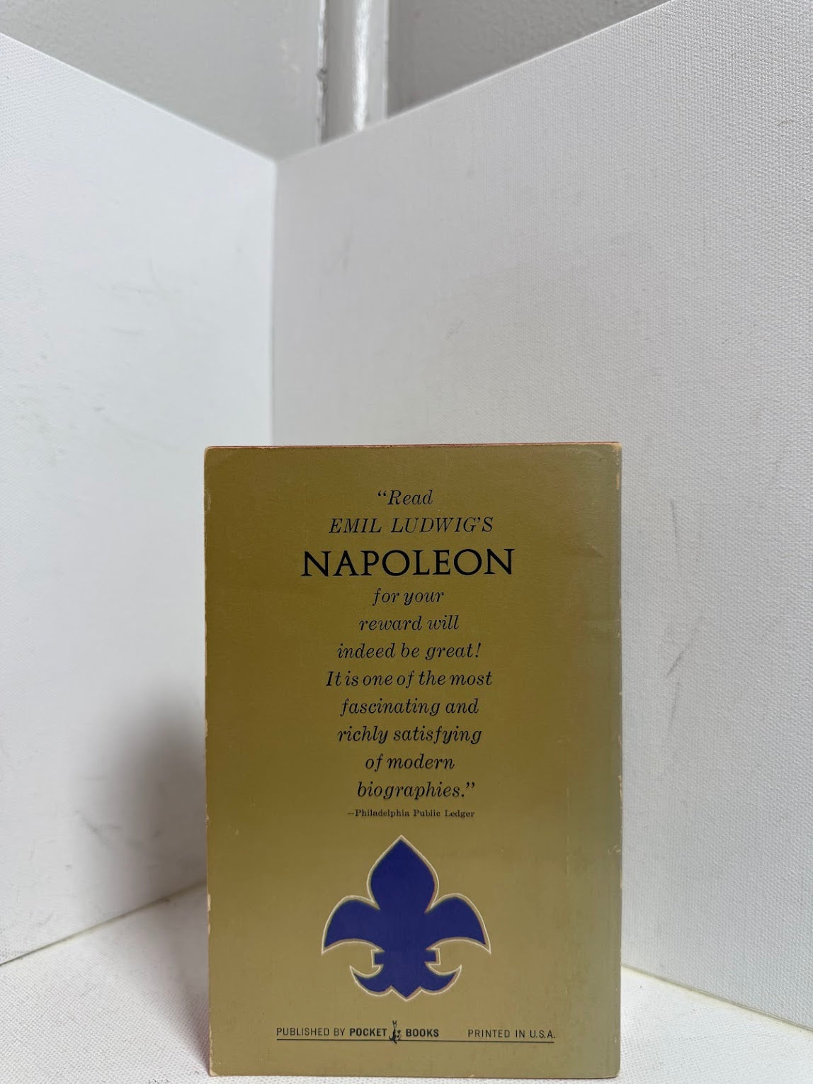 Napoleon by Emil Ludwig