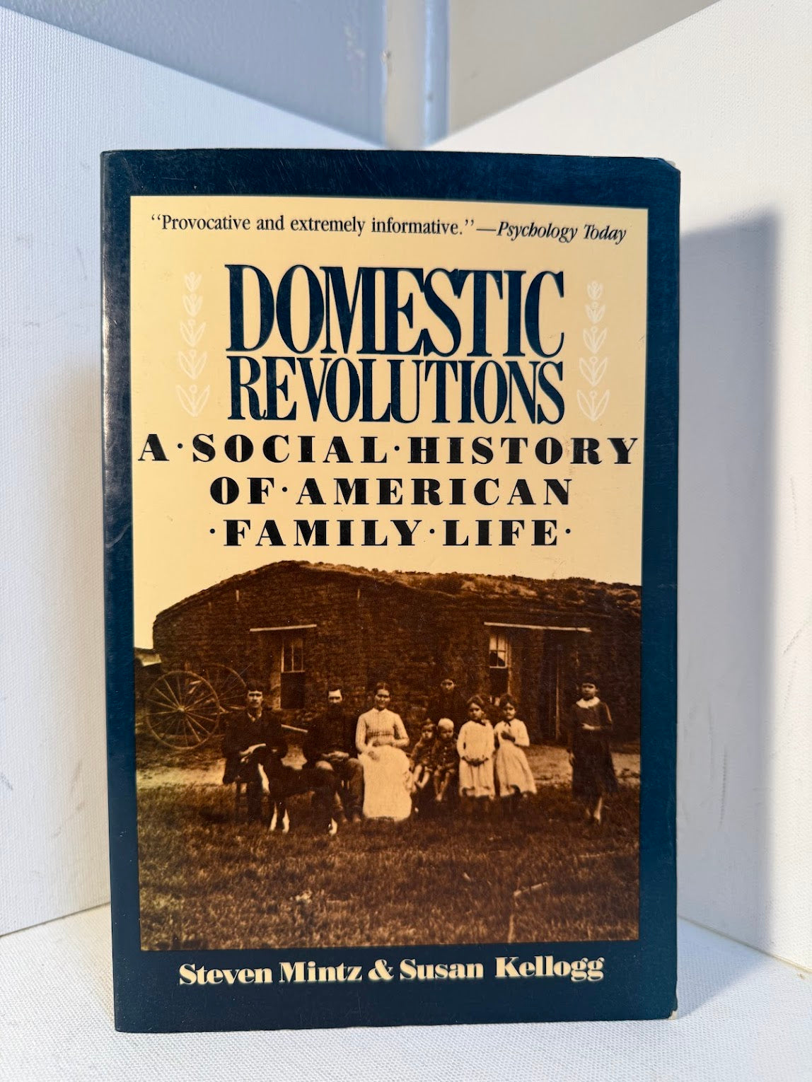 Domestic Revolutions - A Social History of American Family Life by Steven Mintz & Susan Kellogg