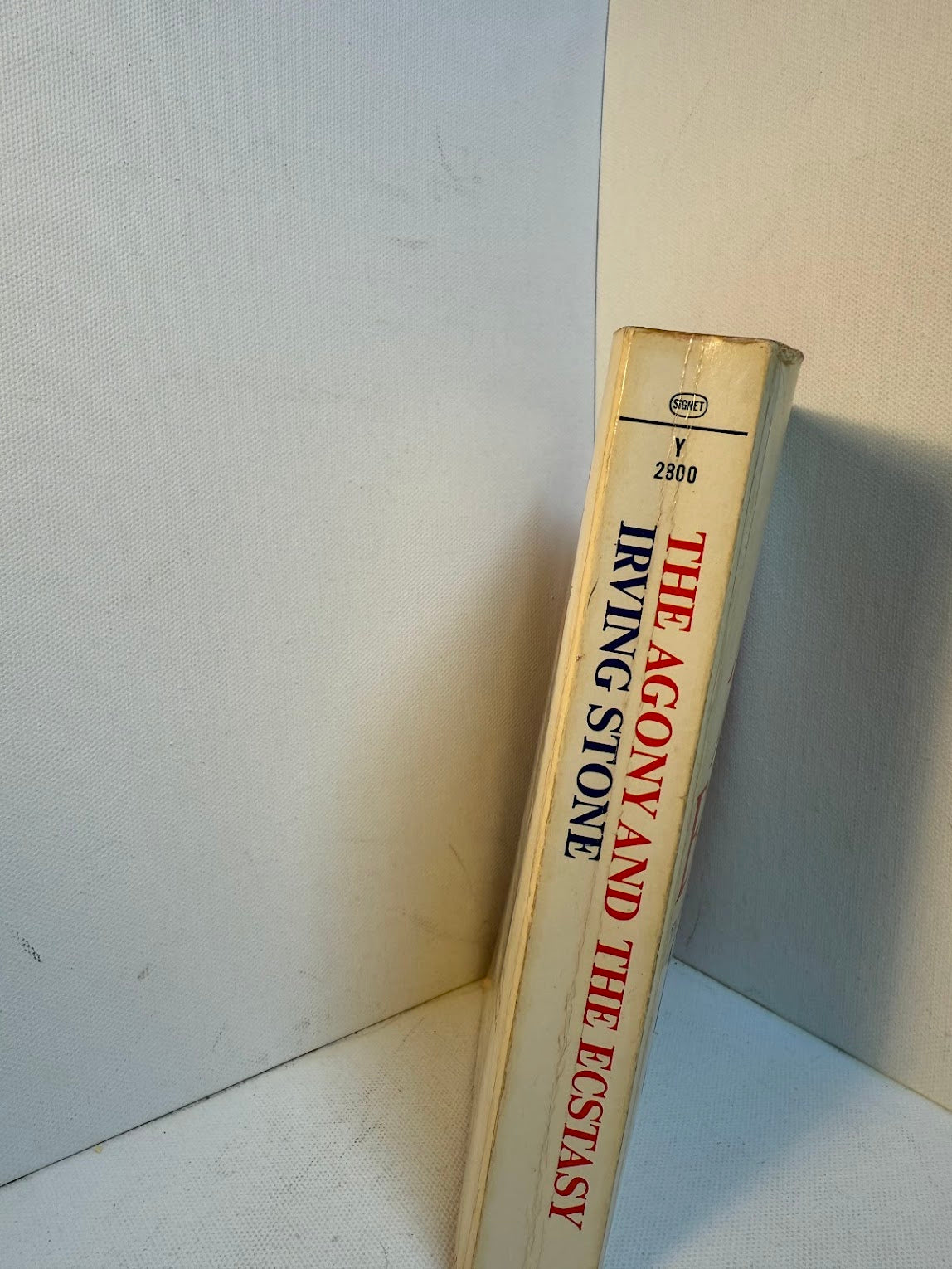 The Agony and the Ecstasy by Irving Stone