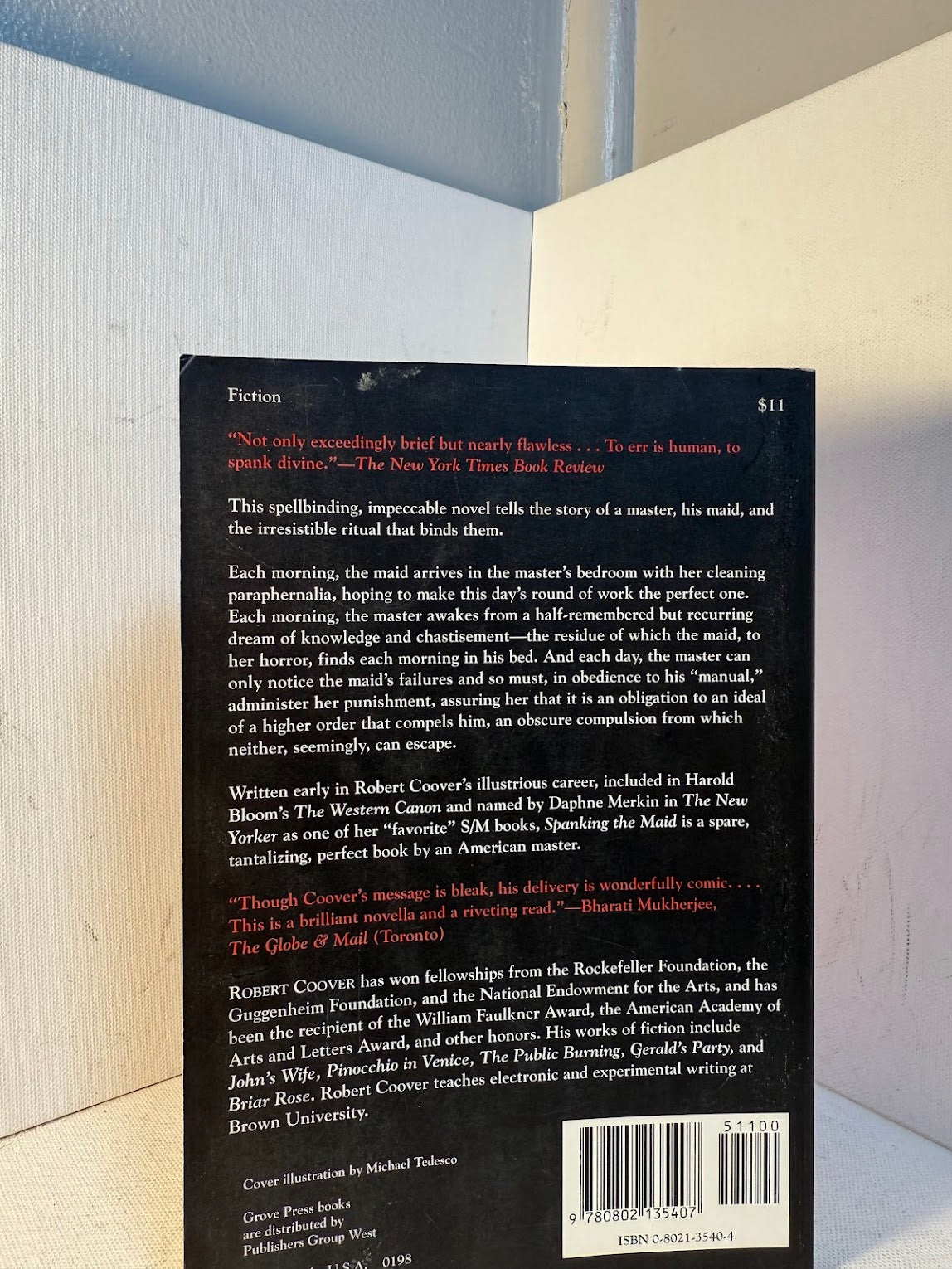 Spanking the Maid by Robert Coover