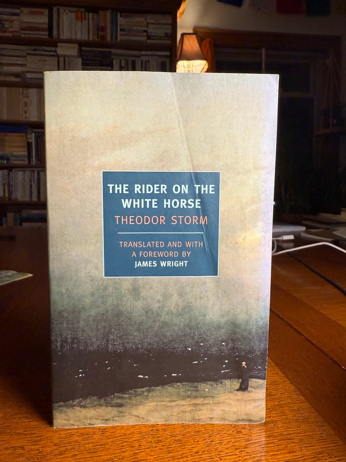 The Rider on the White Horse by Theodor Storm