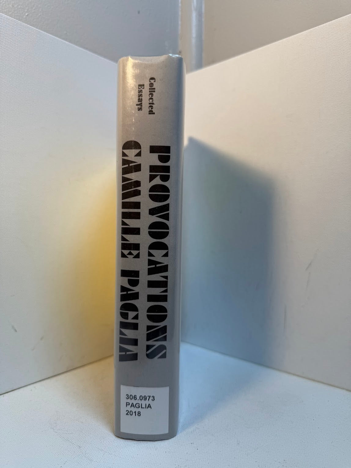 Provocations by Camille Paglia