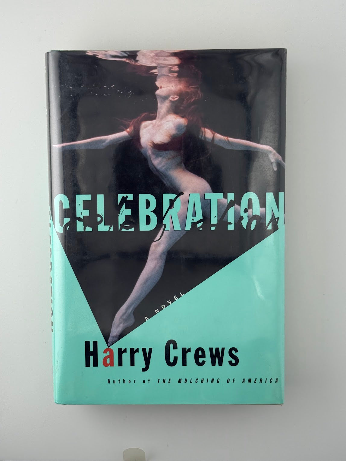 Celebration by Harry Crews