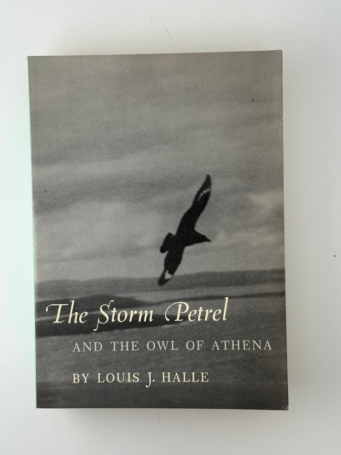 The Storm Petrel and the Owl of Athena by Louis J. Halle