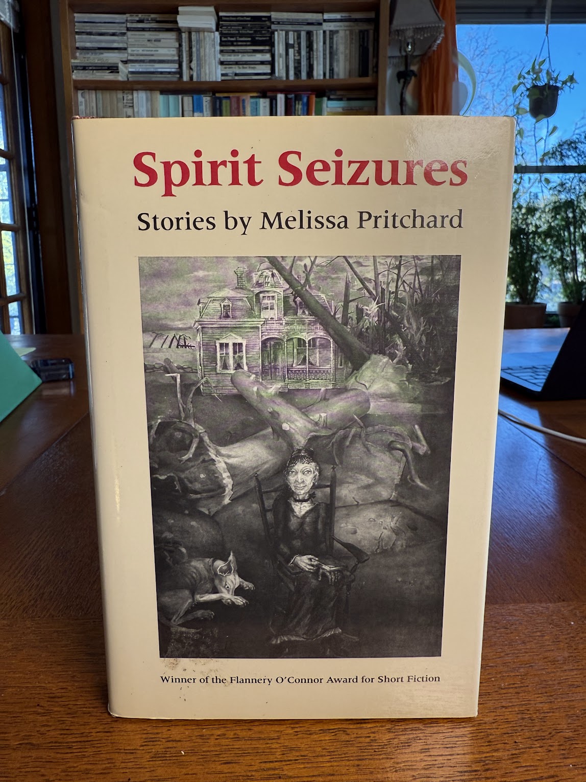 Spirit Seizures by Melissa Pritchard