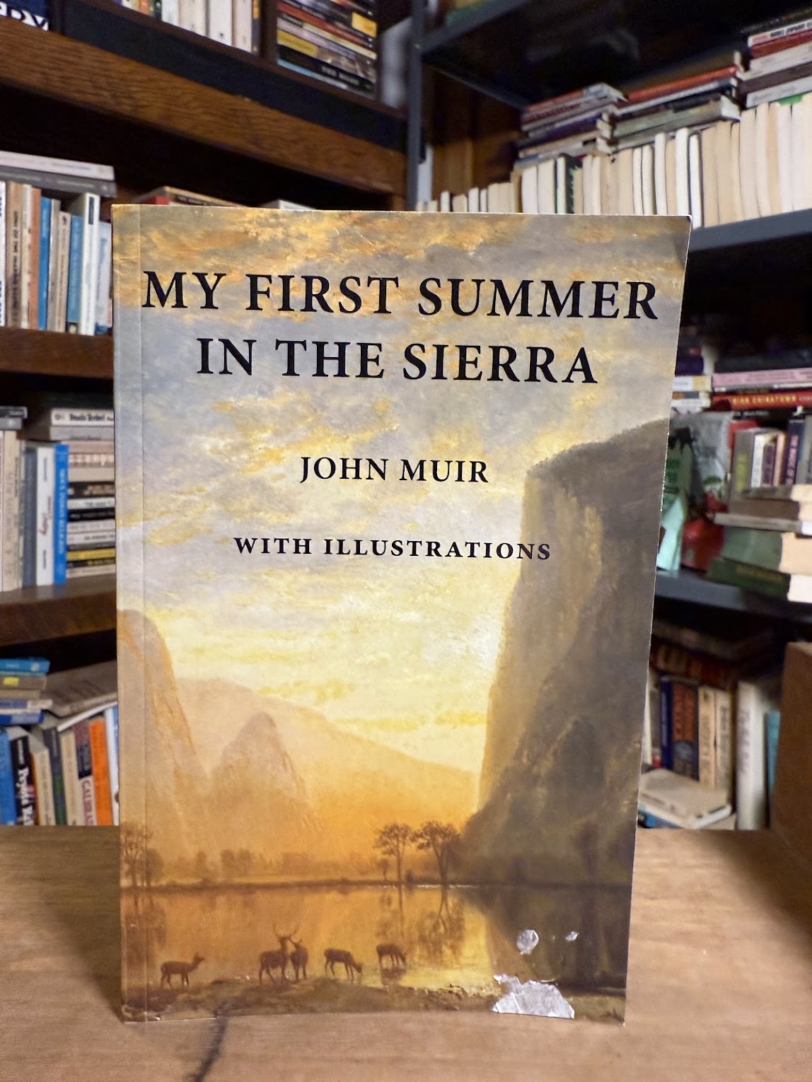 My First Summer in the Sierra by John Muir