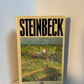 The Grapes of Wrath by John Steinbeck