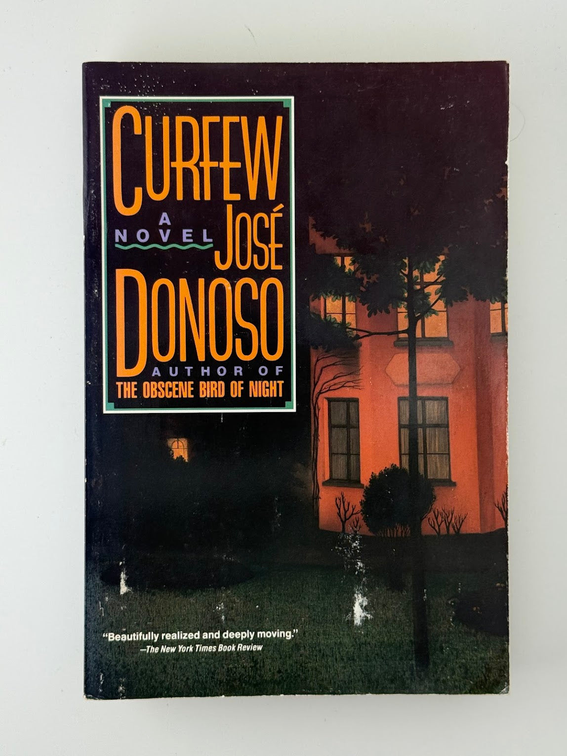 Curfew by Jose Donoso