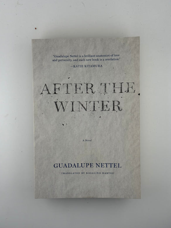After the Winter by Guadalupe Nettel