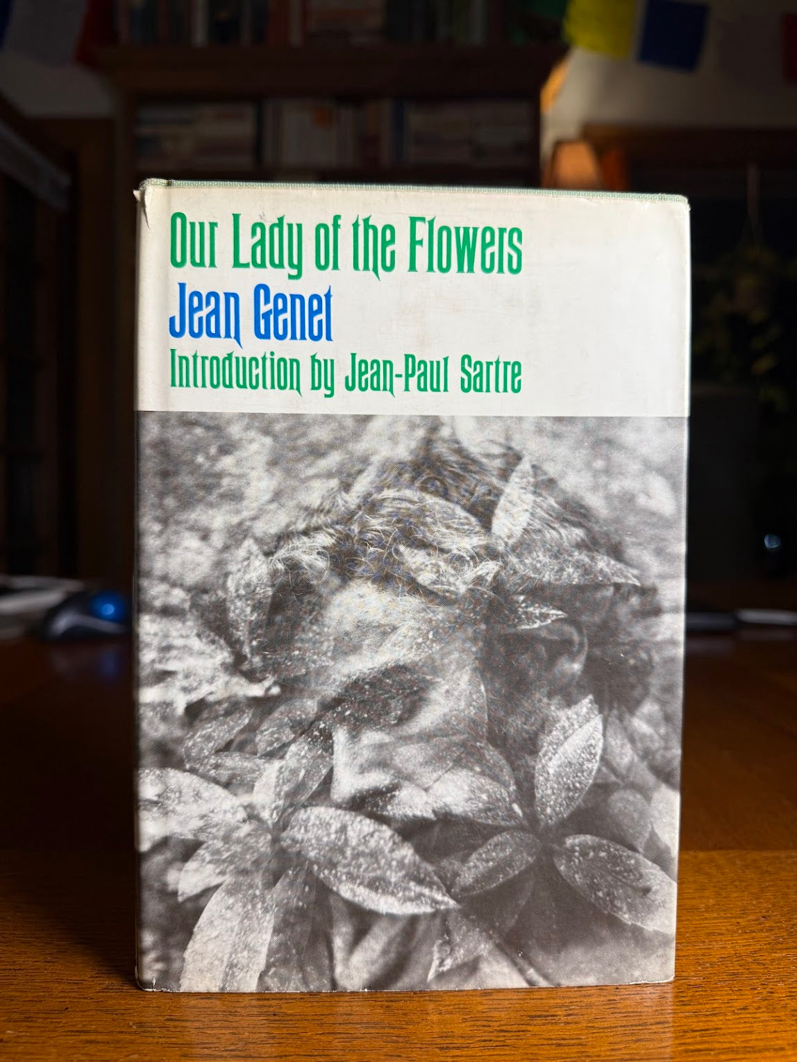 Our Lady of the Flowers by Jean Genet